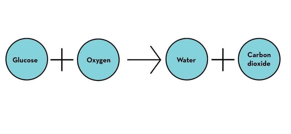 Aerobic respiration in soil chemical equation