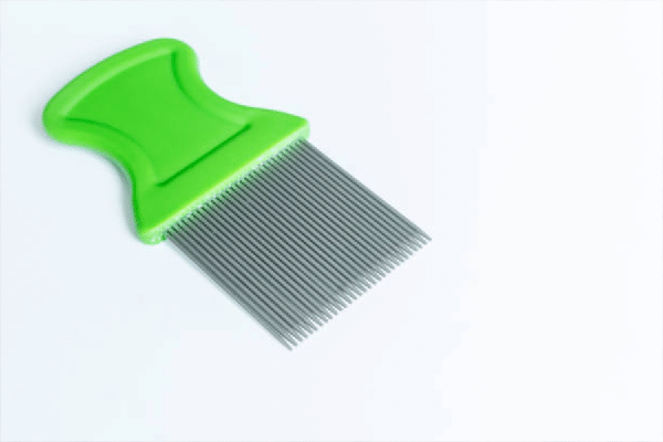 Comb used to get rid of nits