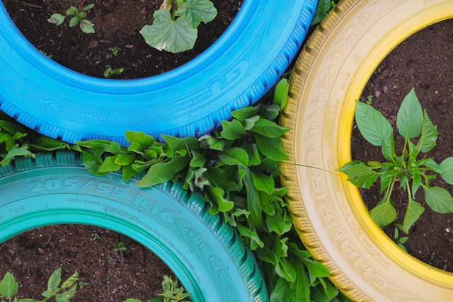 Garden tyres used for mulch edging