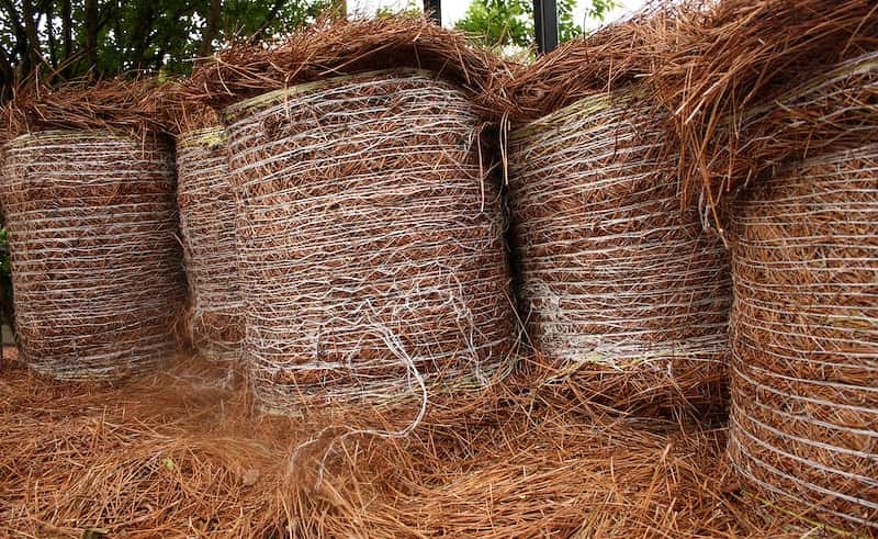 multiple rolls of pine straw